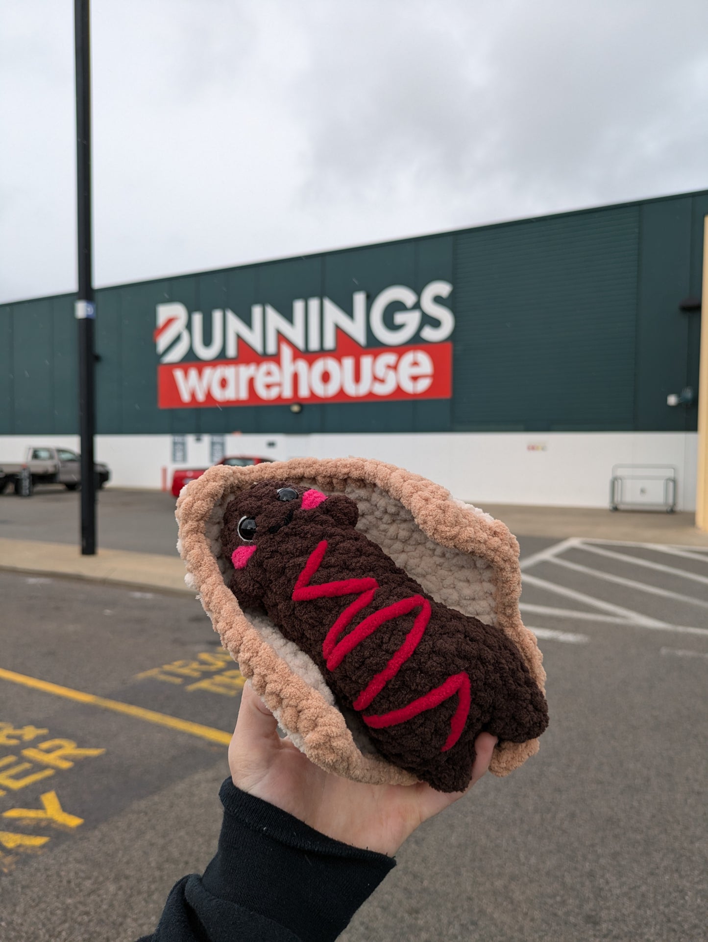 Bunnings snag