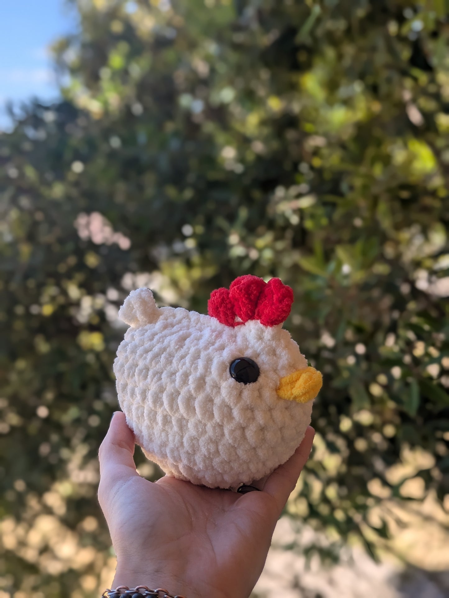 Chicken