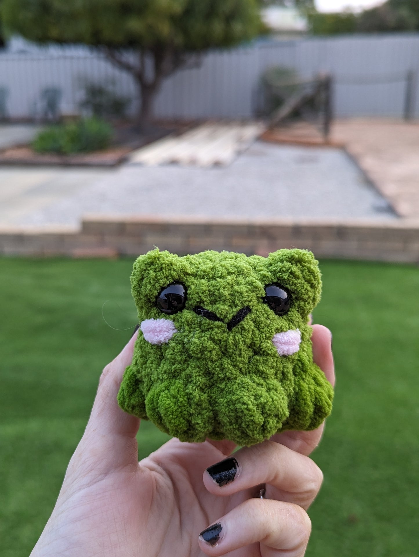 Pocket frog