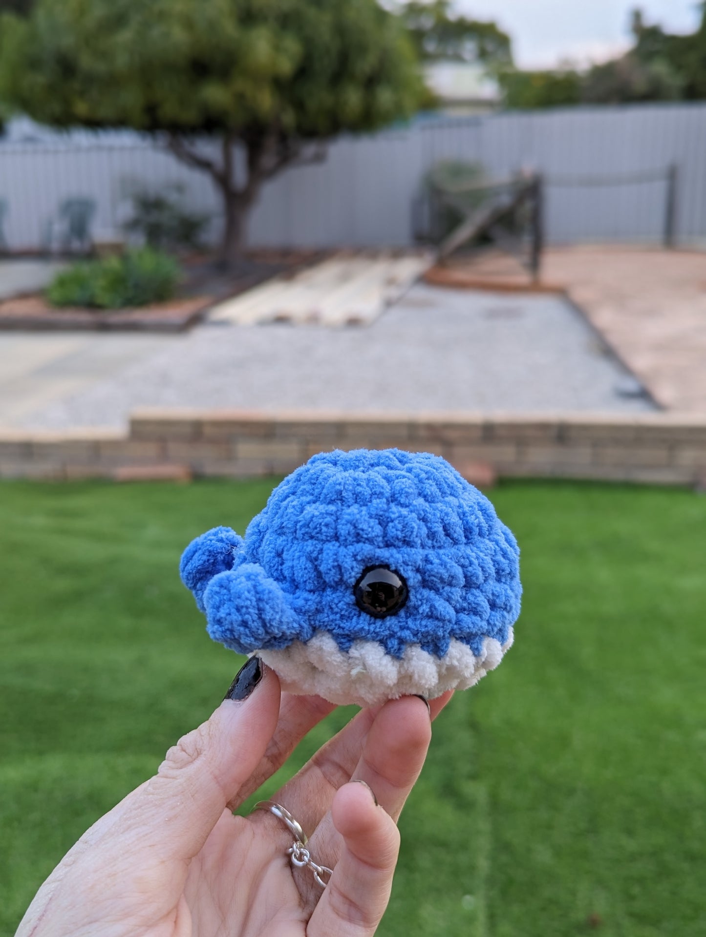 Baby Whale