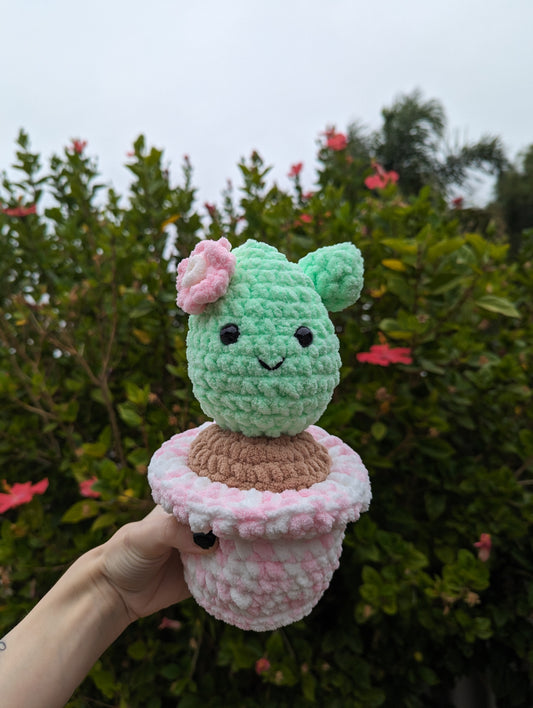 Cactus