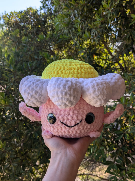 Daisy Fellow