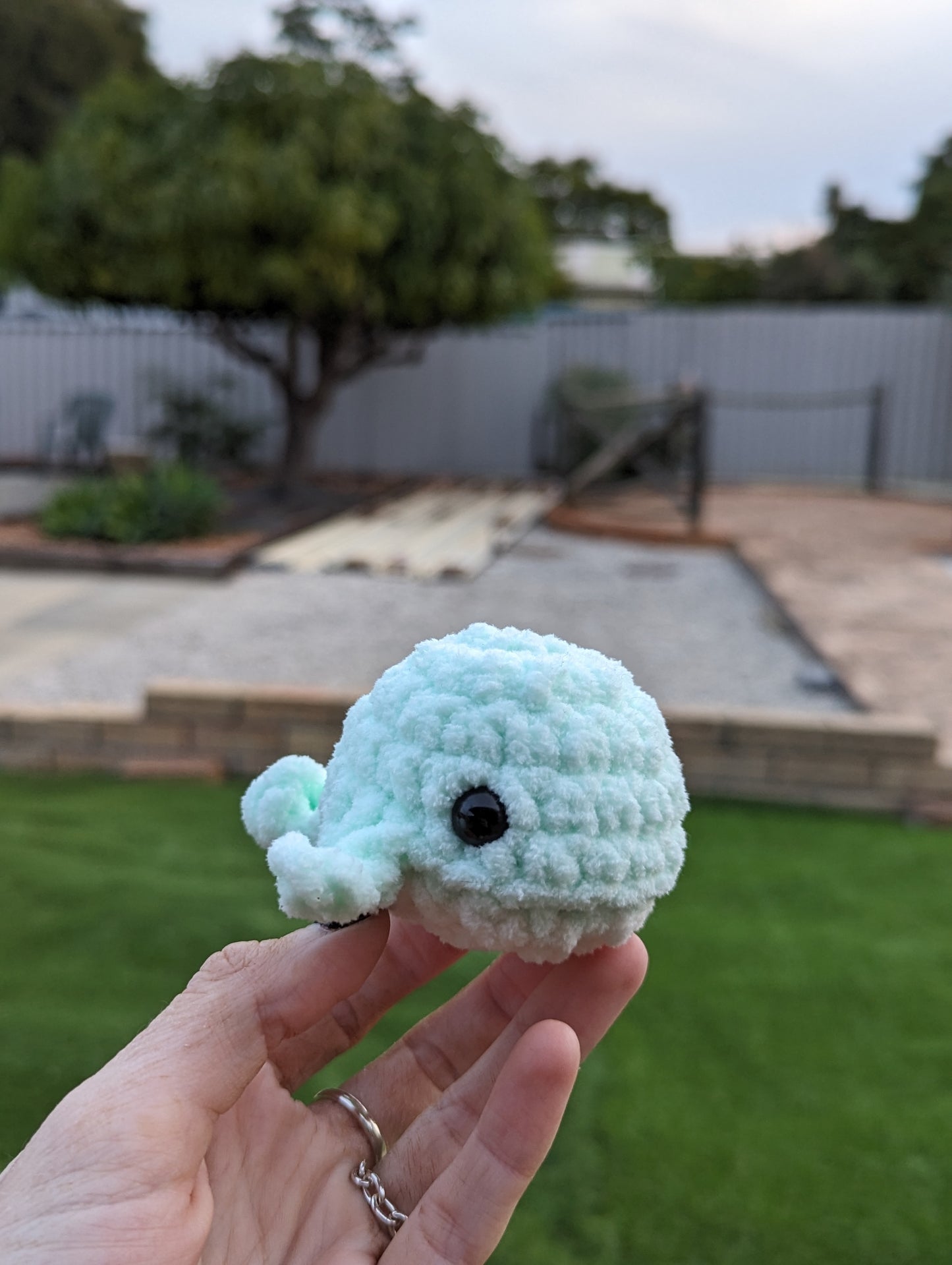 Baby Whale