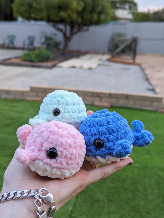 Baby Whale