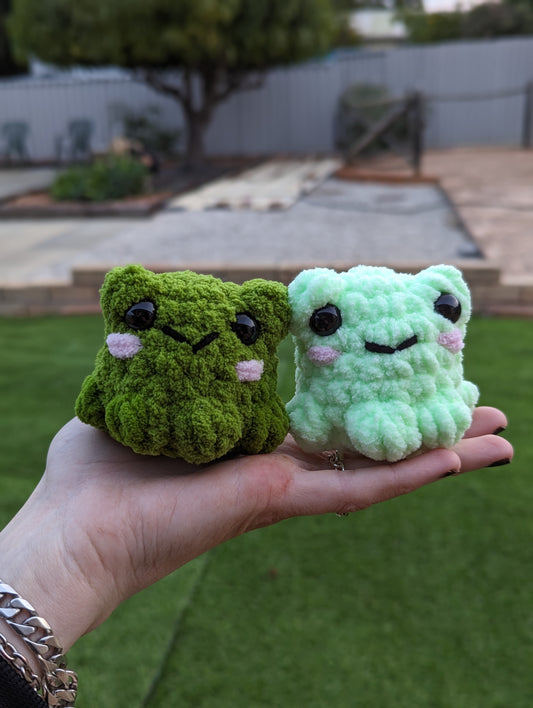 Pocket frog