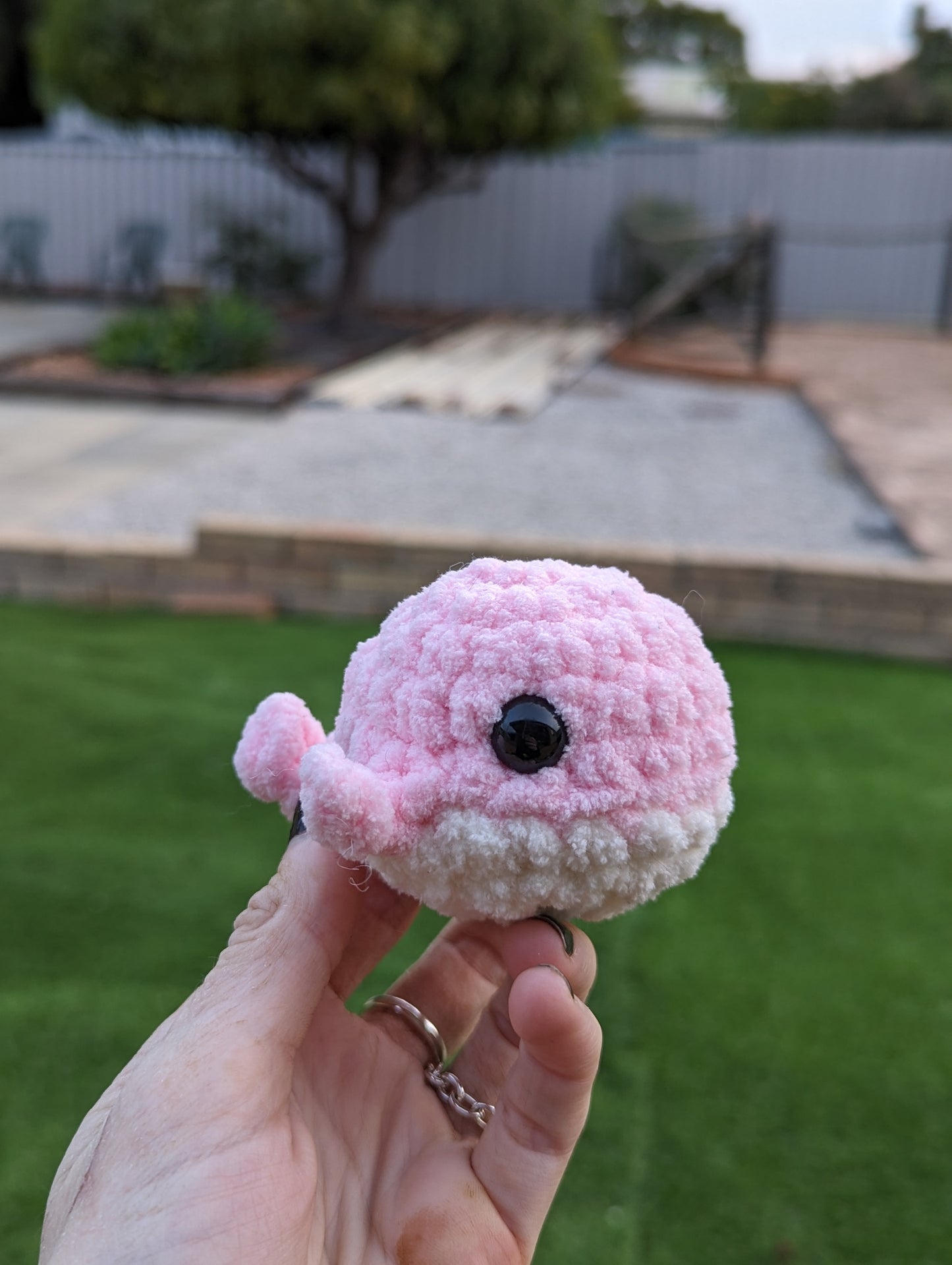 Baby Whale